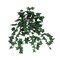 12-Pack: 13" Mini English Ivy Bush with 176 Silk Leaves, Floral Home by Artificial Flowers